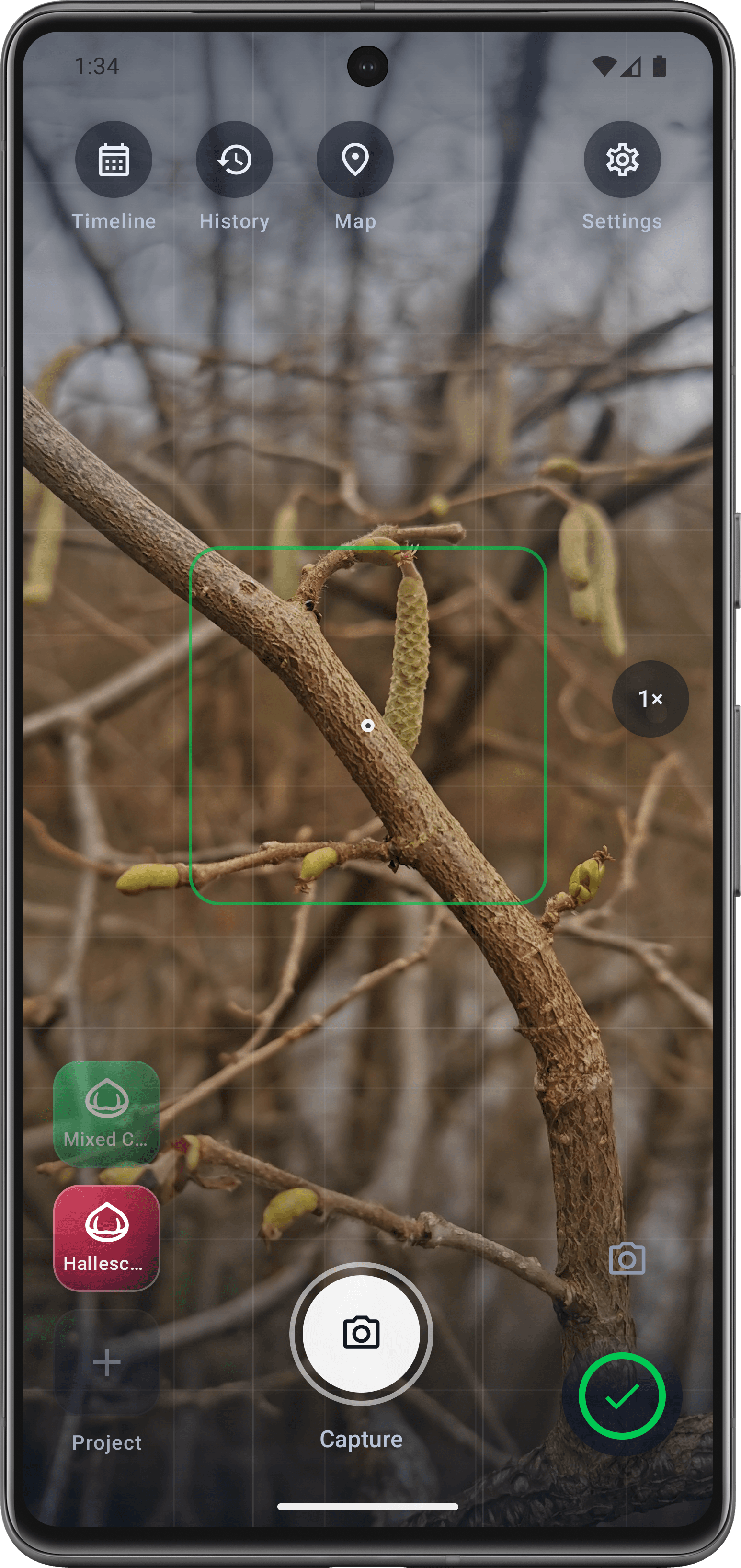 PhenoMon hazelnut monitoring screen
